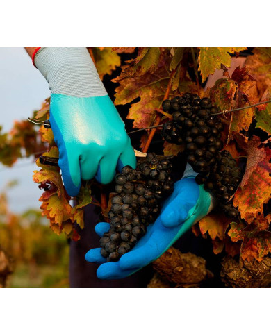Guante Juba - 1161FC ECO NIT JUBA