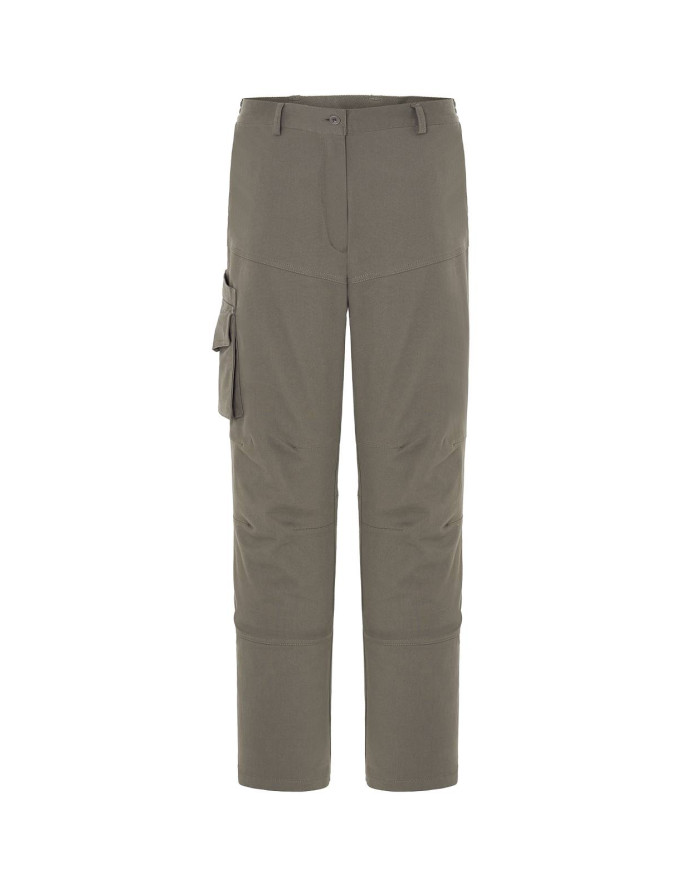 ARIZONA LADY (CARGO) JHK