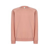 Sweatshirt Raglan Unisex JHK