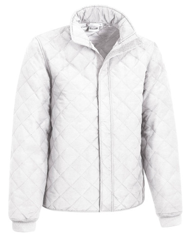 Chaqueta NORTHSEA azul marino orión