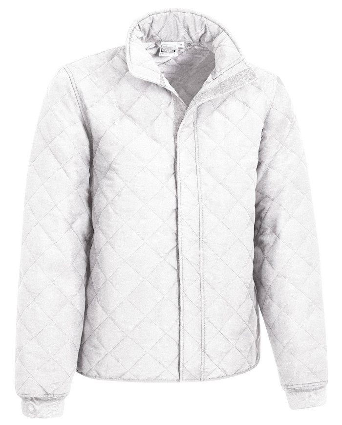 Chaqueta NORTHSEA azul marino orión