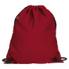 Mochila ALCEO negro