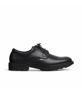 Zapato Dian Francia