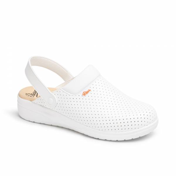 Zapato. Dian Mar Picado