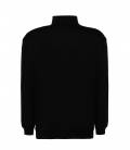 HALF ZIP SWEATSHIRT. SWRAZIP