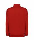 HALF ZIP SWEATSHIRT. SWRAZIP