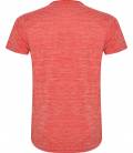 Camiseta Técnica Zolder. Roly 6653