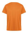 Camiseta Técnica DAYTONA. Roly 0420