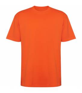 Camiseta Manga Corta Oversize Bull Roly 6560