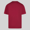 BLUSA SANITARIO UNISEX PICO COLORES GARYS