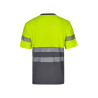 Camiseta algodón bicolor manga corta  cinta segmentada VELILLA