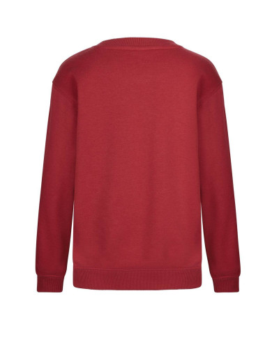 AVALON KIDS - SUDADERA CUELLO REDONDO KIDS 270 MUKUA