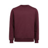 UM Crewneck (OCS-RCS)  Regular Fit Unisex NEW WAVE