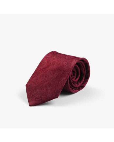 Giftbox Solid Paisley Tie NEW WAVE