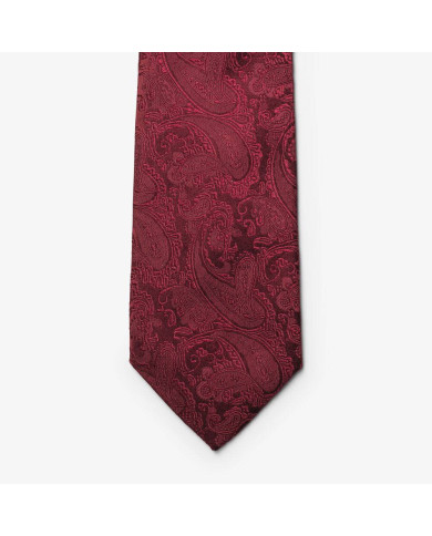 Giftbox Solid Paisley Tie NEW WAVE