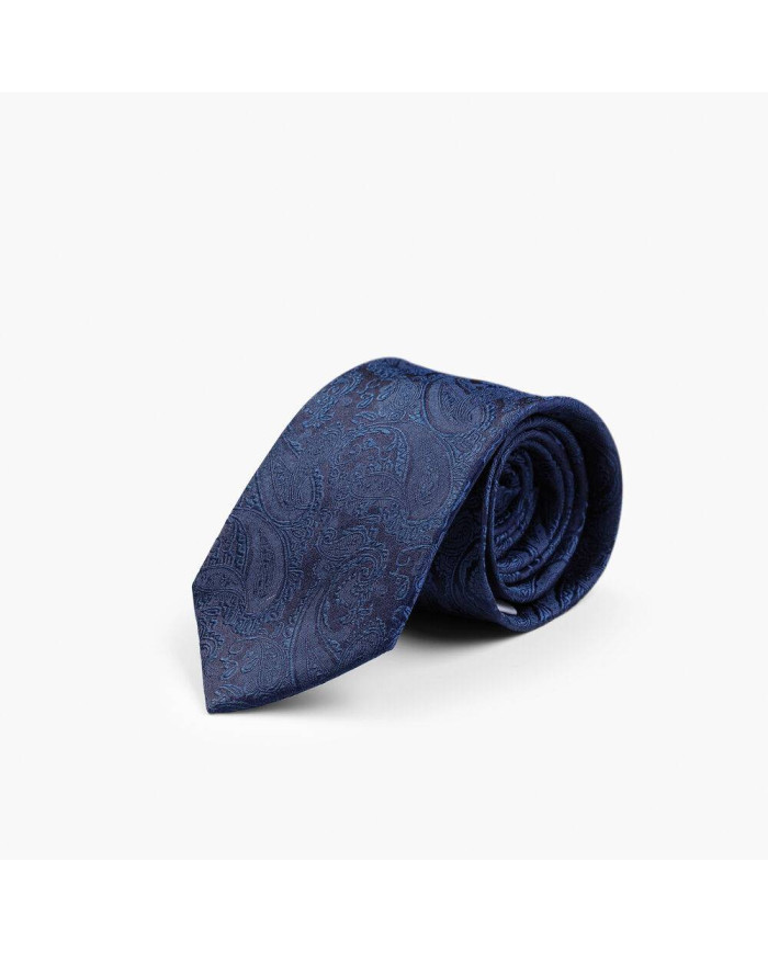 Giftbox Solid Paisley Tie NEW WAVE