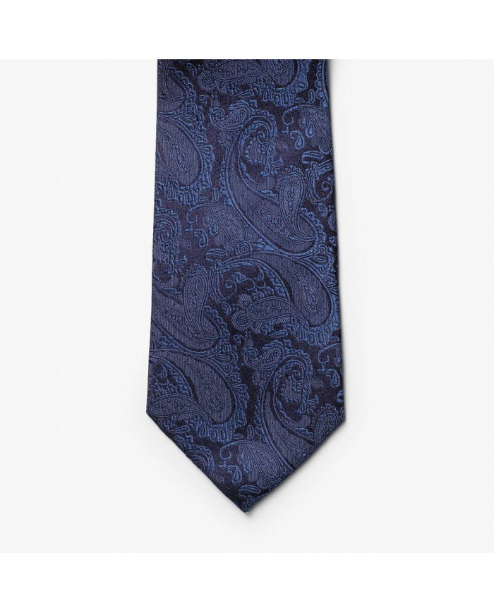 Giftbox Solid Paisley Tie NEW WAVE
