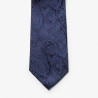 Giftbox Solid Paisley Tie NEW WAVE