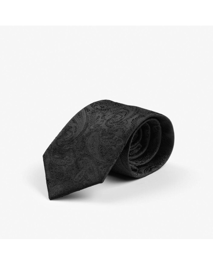 Giftbox Solid Paisley Tie NEW WAVE