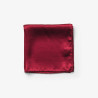 Giftbox Solid Hankie & Lapel Pin NEW WAVE