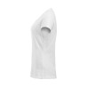 Derby-T Women NEW WAVE
