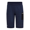 CORE Nordic Ski Club Shorts M NEW WAVE