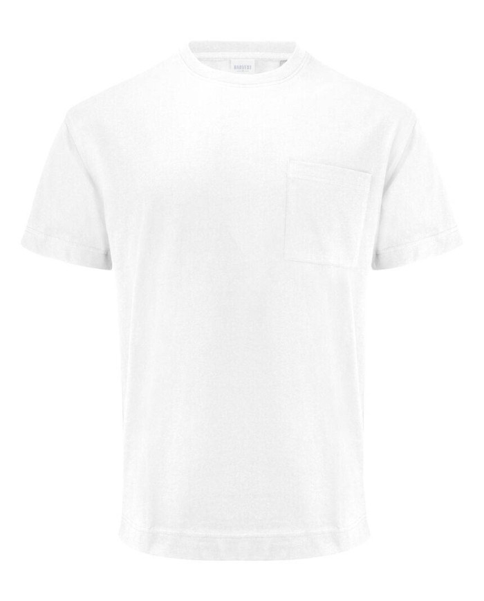 Devons NEW WAVE