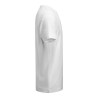 Scarsdale T-Shirt Men NEW WAVE